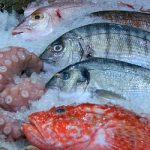 SEASONAL INGREDIENTS: SPRING/PRIMAVERA 2023 – Fish in Season Right Now in Spain